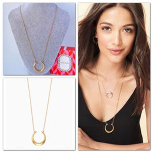 Stella 7 Dot Double Horn Necklace