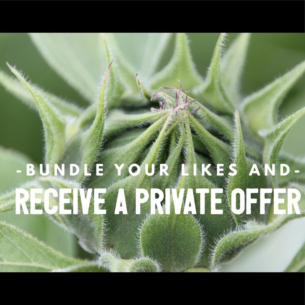 Bundle Bundle Bundle!! - image 1
