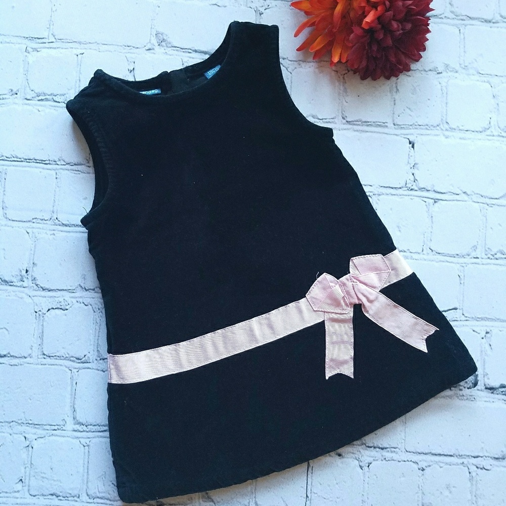 GREENDOG Macy's Velour Girls Dress Sz 12mos