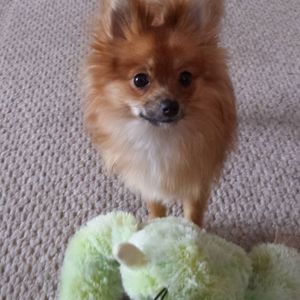 Meet your Posher, Wanda