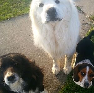 Meet your Posher, Kylee