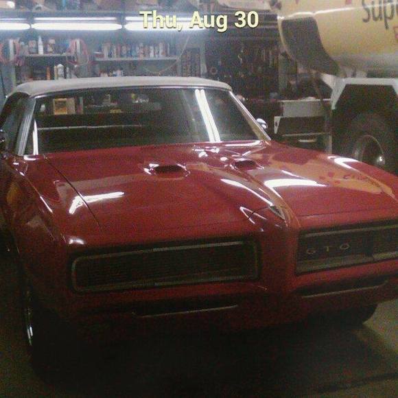 Meet your Posher, Nancy - Picture 1 of 1