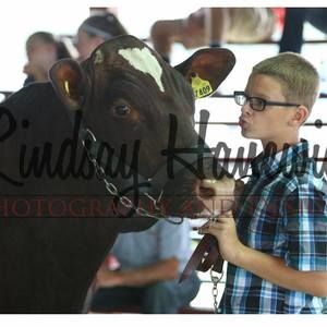 Meet your Posher, Jamie