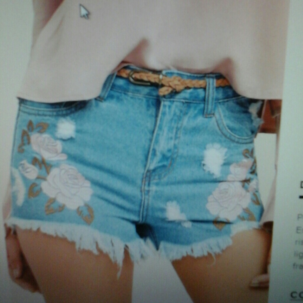 Medium-wash Embroidered Shorts 26 Waist