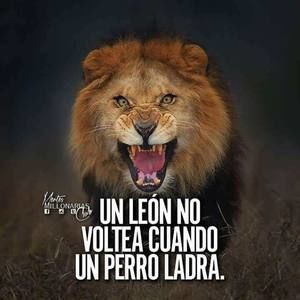 Meet your Posher, Carol