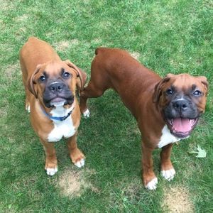 Meet your Posher, Paris