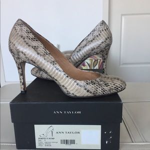 Ann Taylor- Perfect Pump -expressing melange 8M