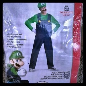 Men's Luigi costume