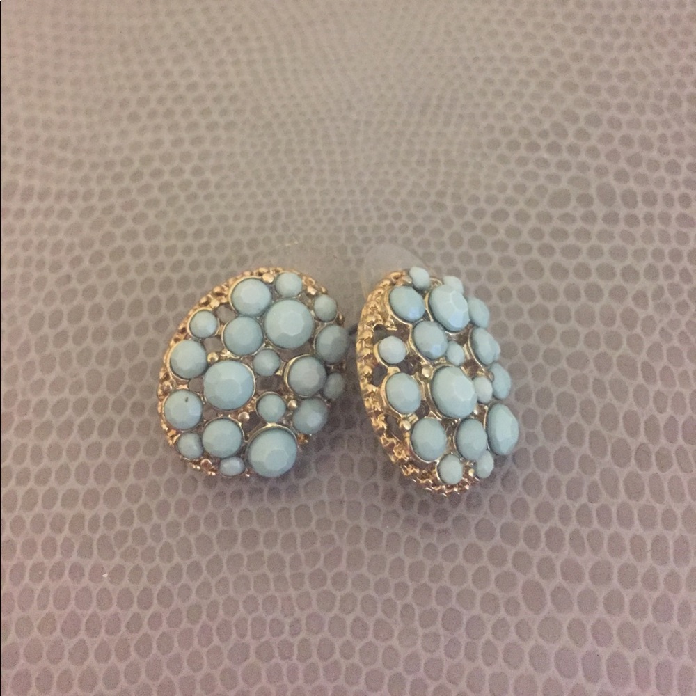 Fashion Earrings