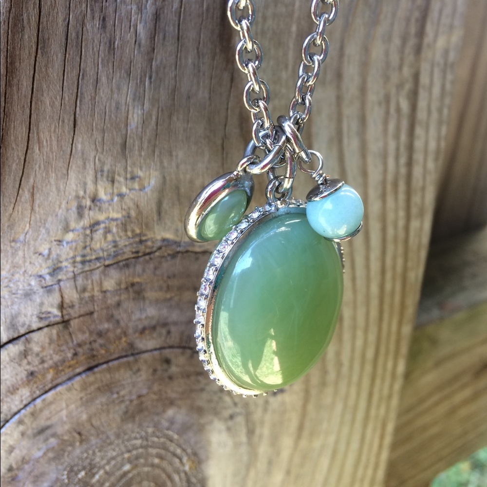New w/Tags ANN TAYLOR Jade Look Pendant & Chain