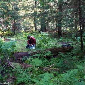 Meet your Posher, Chad