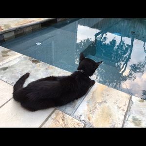 Meet your Posher, Kristin