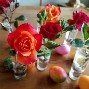 Meet your Posher, Becca