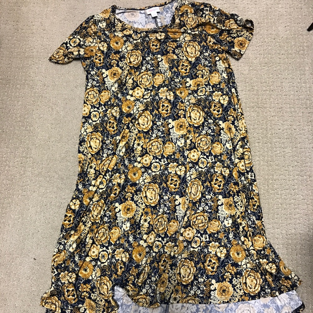 Lularoe carly