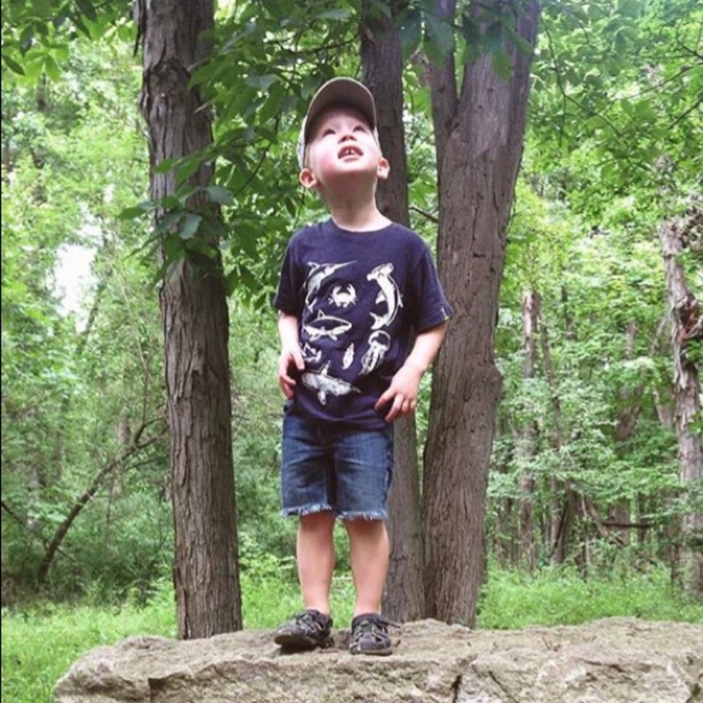 Carter's Navy Blue Distressed Shark Tee 4T Boys