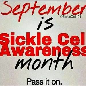 Meet your Posher, Pam