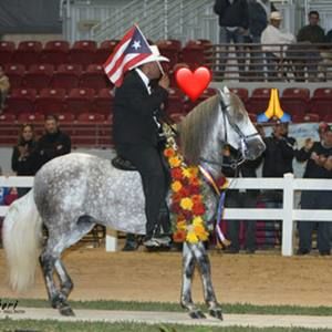 Meet your Posher, Alvin