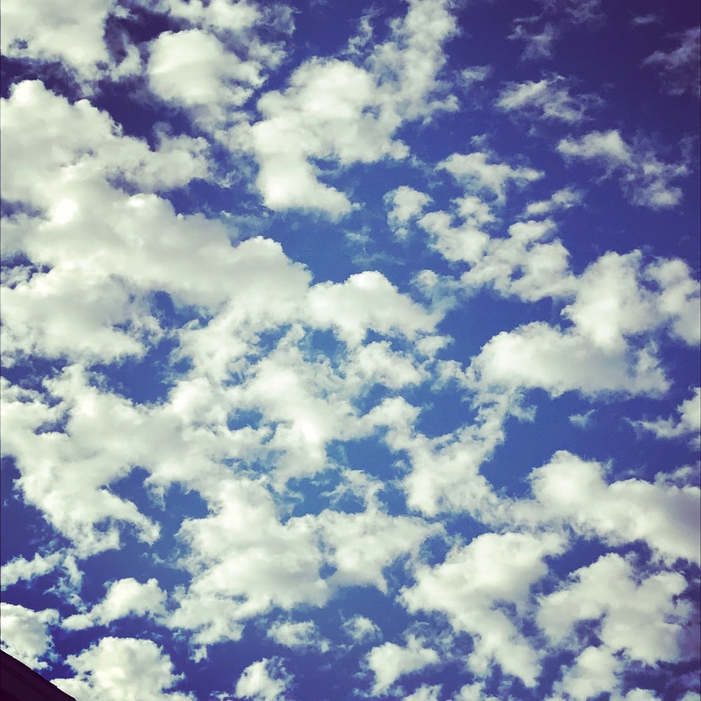 Meet your Posher, Brianne