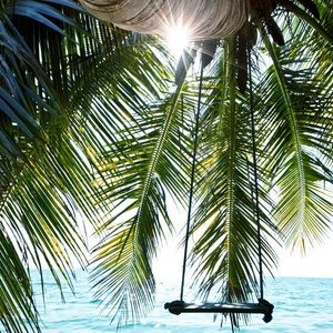 Meet your Posher, Fatima