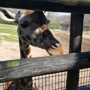 Meet your Posher, Sharita