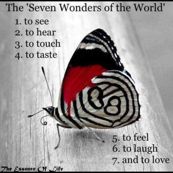 💕INSPIRED💕 - Picture 5 of 8