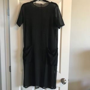 Sheer Zara Dress