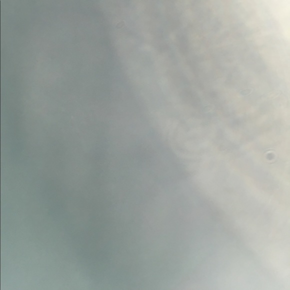 Meet your Posher, Barbara - Picture 2 of 2