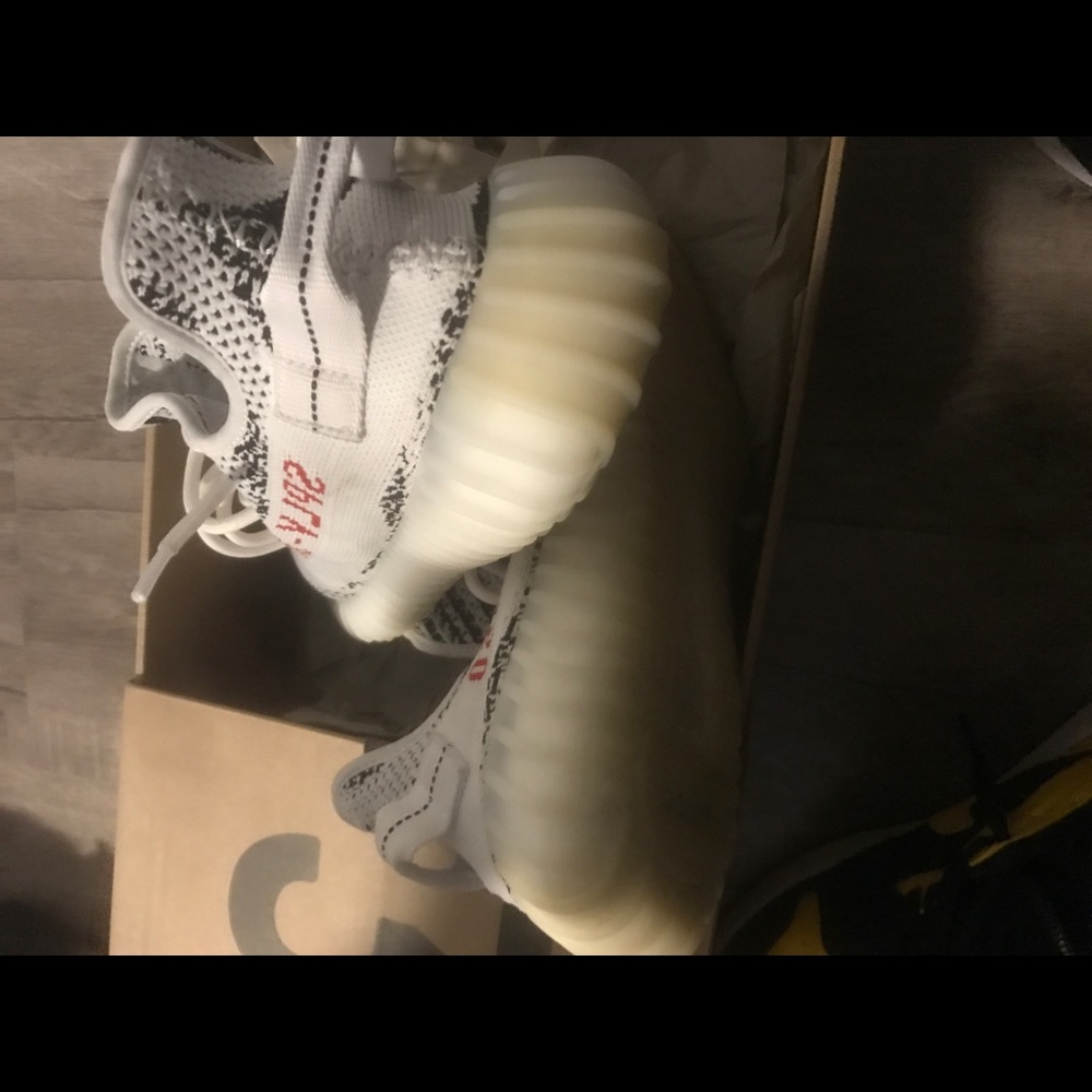 Zebra Yeezy Boost 350 - Picture 5 of 5