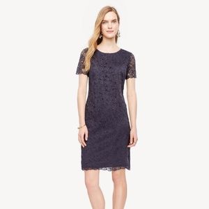 NWT Lace Dress 2P Ann Taylor