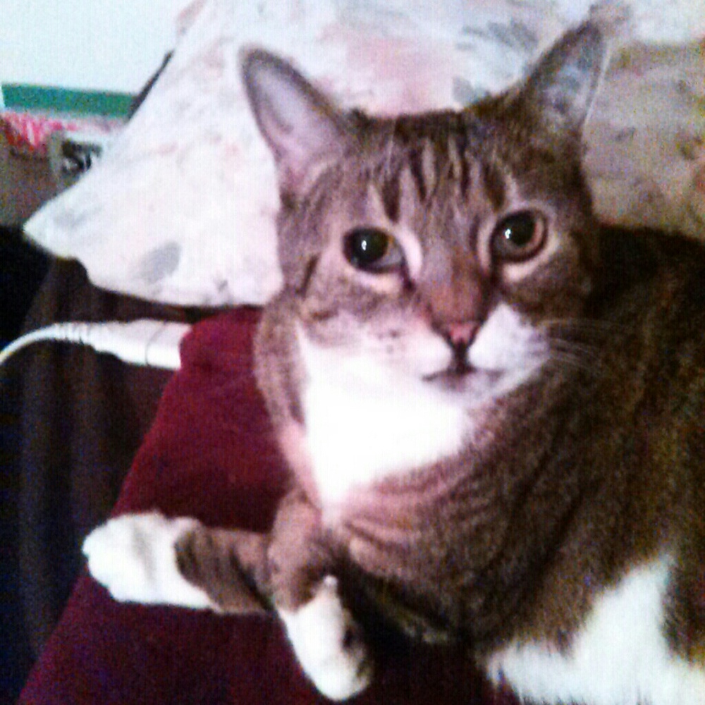 Offering a 20% discount on two or more items.