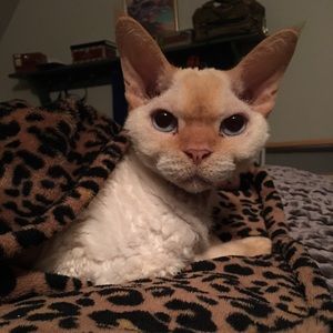 Meet your Posher, Leanne