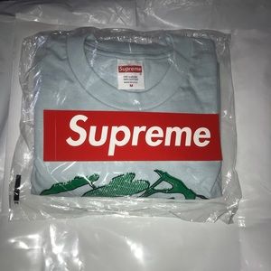 SUPREME PLANT TEE PALE BLUE MEDIUM FW17
