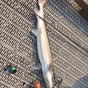 Meet your Posher, Bryant