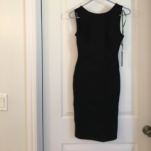 NWT! Fitted sheath dress