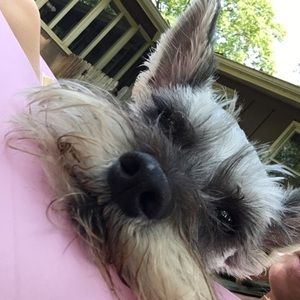 Meet your Posher, Michelle