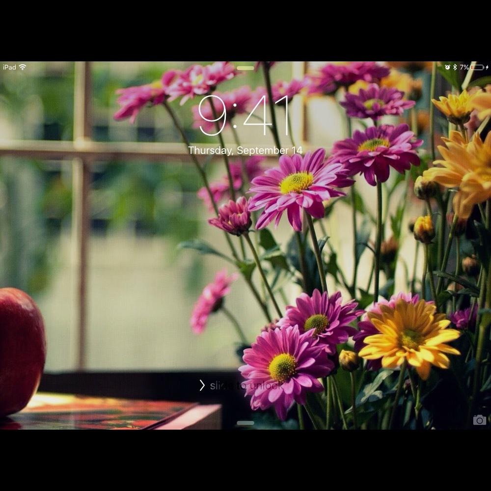 Meet your Posher, Carolyn