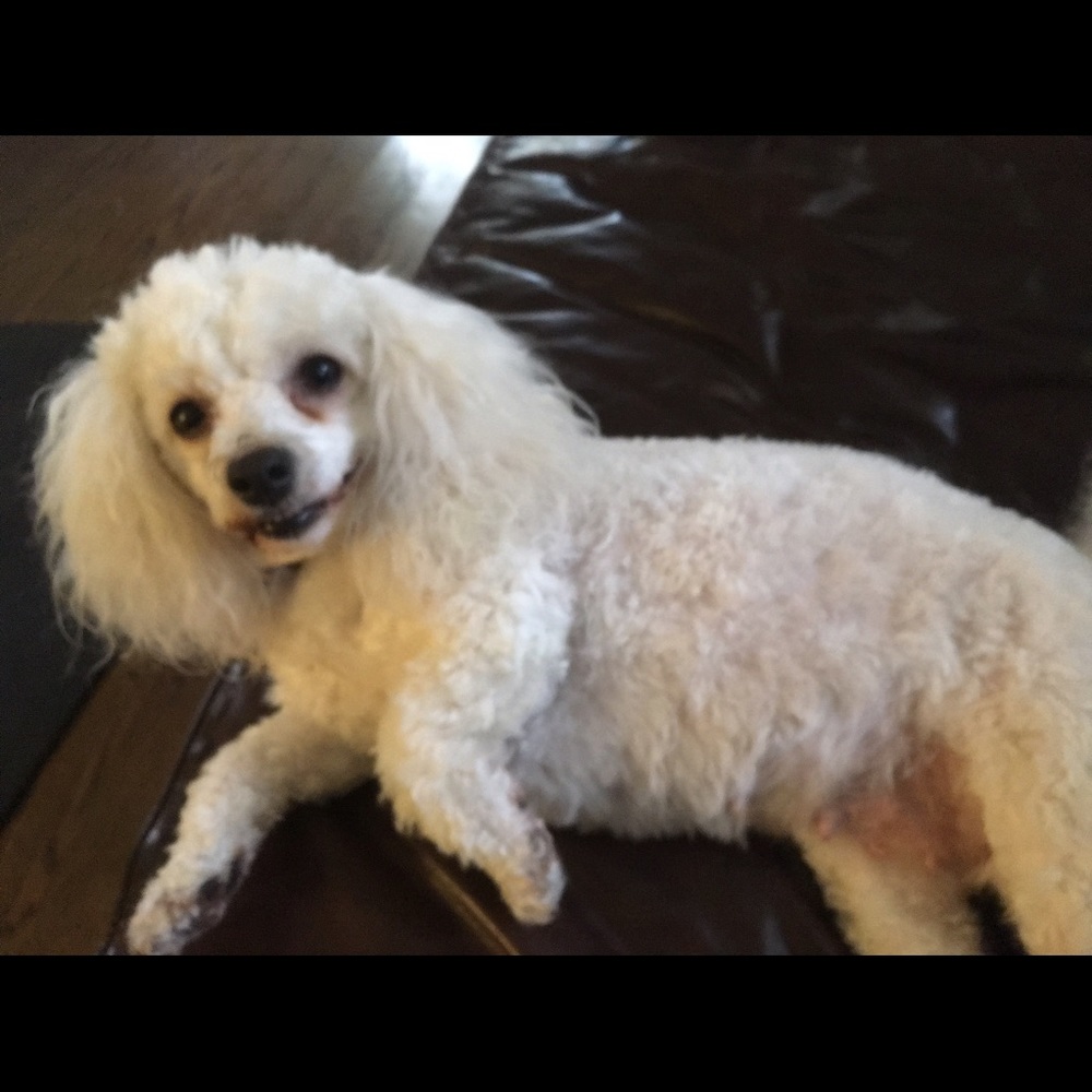 Meet your Posher, Stephanie