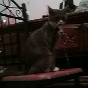 Meet your Posher, Cameron