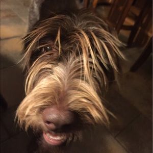 Meet your Posher, Jared