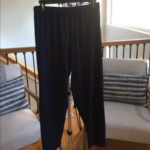 Aritzia (babaton) cropped silk pants - S