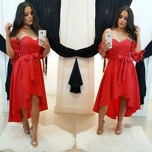 Holiday Special Dress