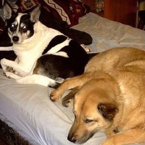 Meet your Posher, Jeanne