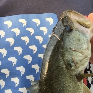 Meet your Posher, Evan