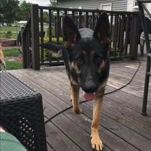 Meet your Posher, Jacob