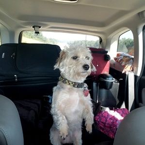 Meet your Posher, Michelle