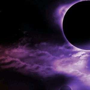 Meet your Posher, Noah