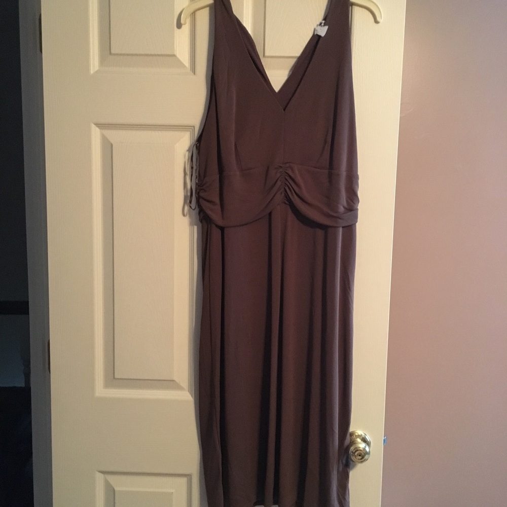 NWOT Loft Dress