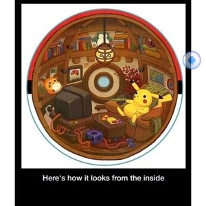 Meet your Posher, Ninine