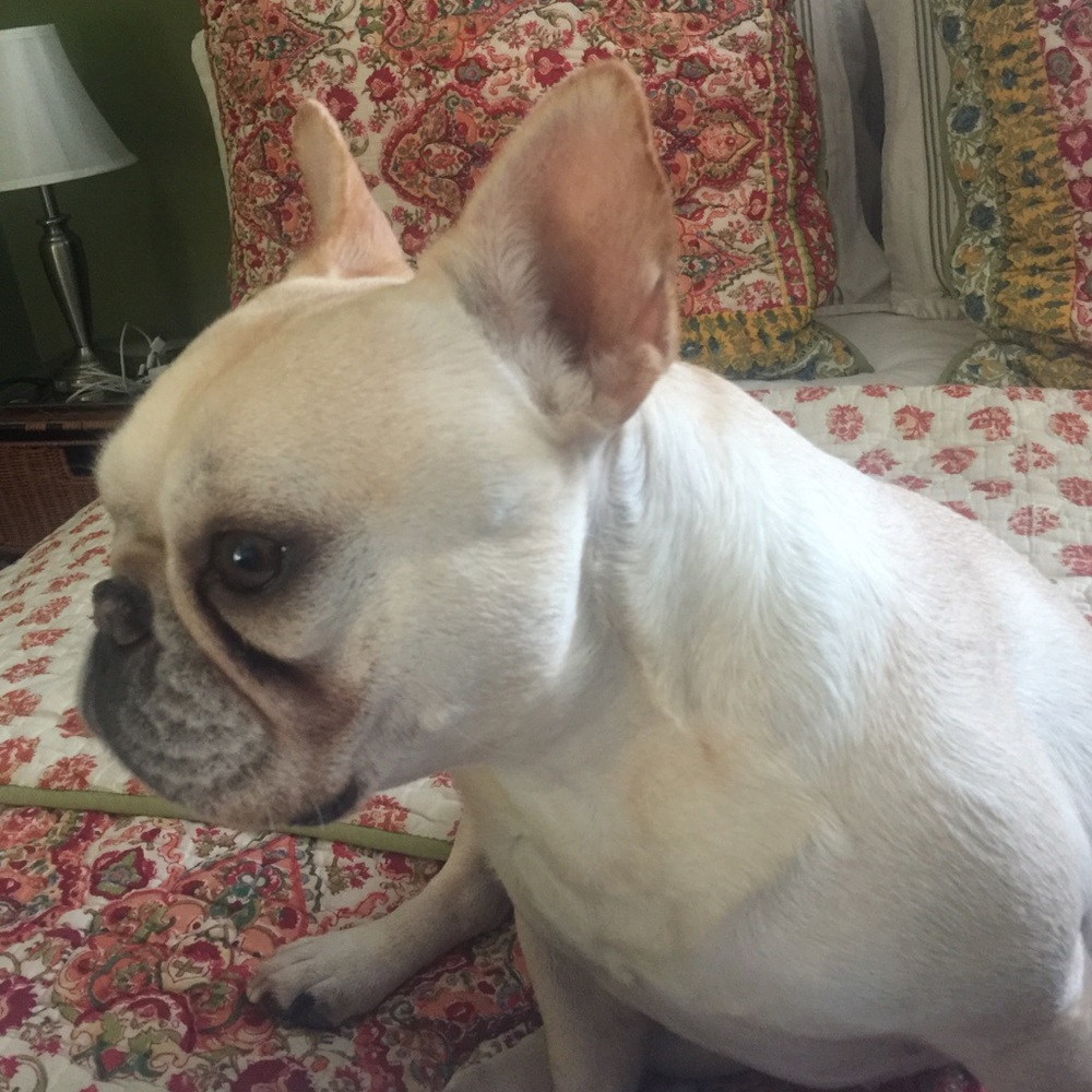 Meet your Posher, Melinda