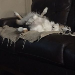 Meet your Posher, Karina